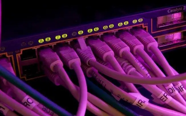 paarse internetkabels